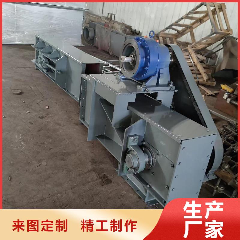 TD160斗式机厂家订购