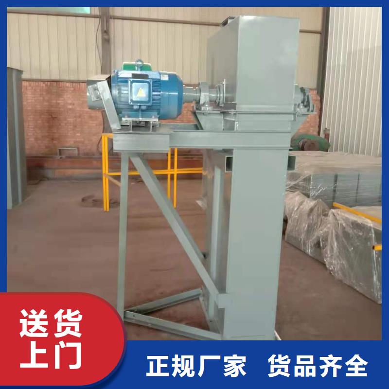 TD315斗式机厂家规格齐全