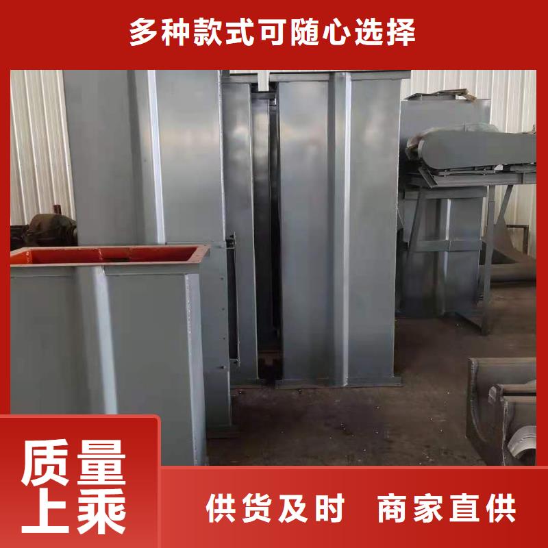 NE100链板斗式机厂家经销商