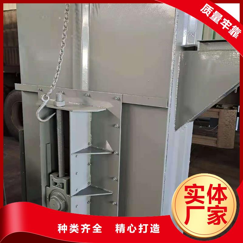 TD160斗式机价格厂家定做