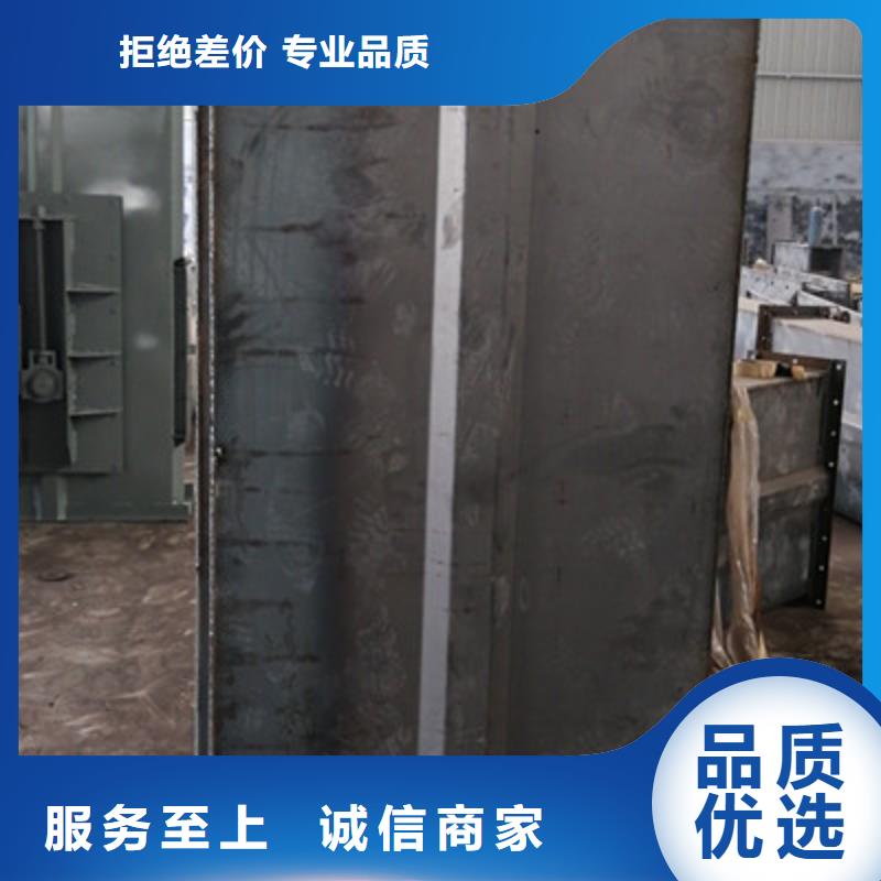 NE100链板斗式机厂家经销商