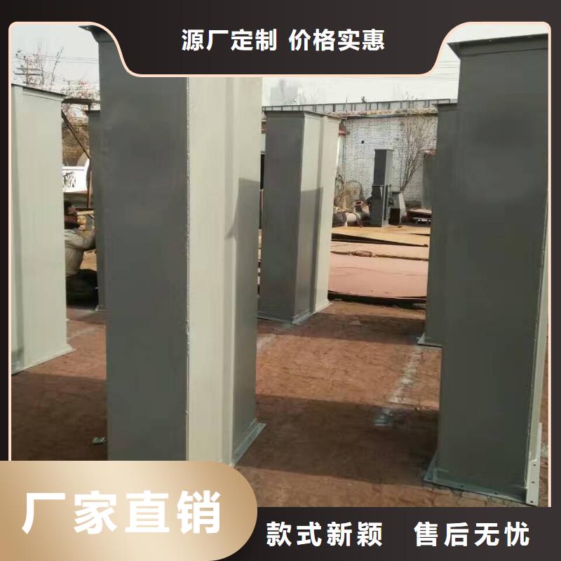 NE100链板斗式机价格团队