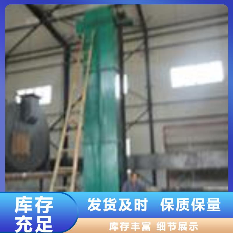 TD200斗式机厂家规格齐全