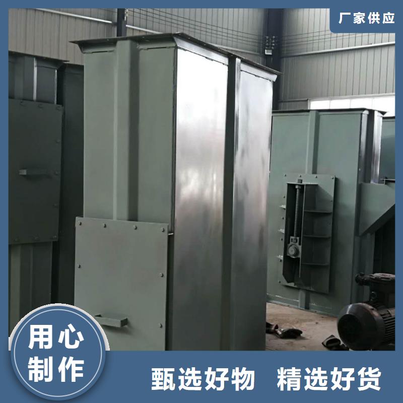TD315斗式机厂家欢迎咨询