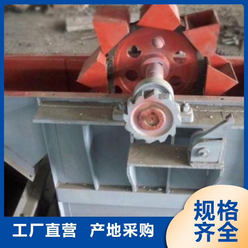 TD钢丝胶带型斗式机厂家定做