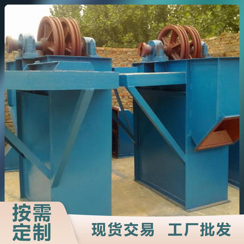 TH圆环链型斗式机厂家现货价格