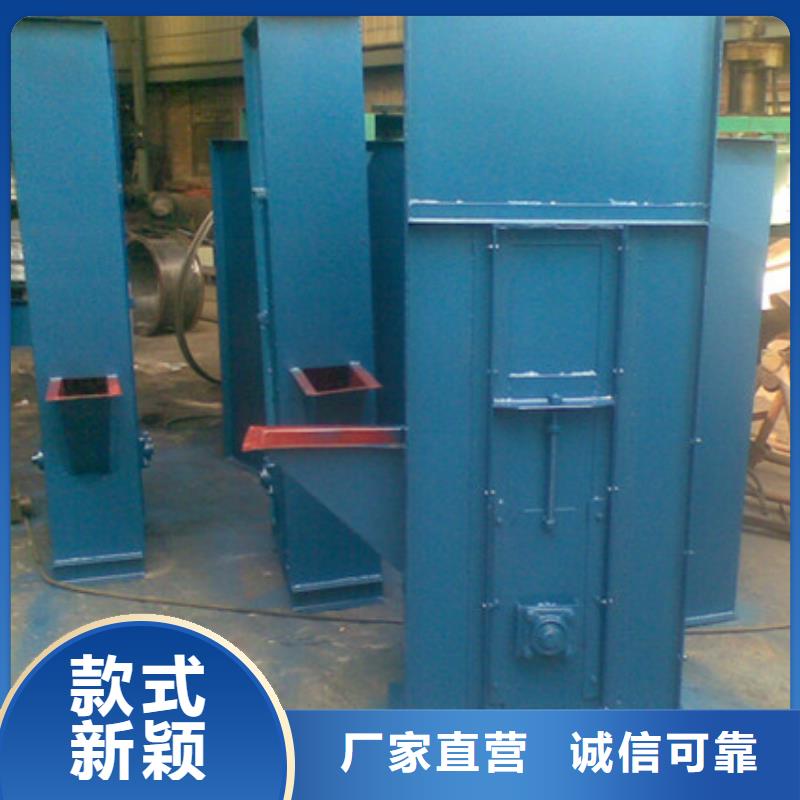 TH圆环链型斗式机厂家现货价格