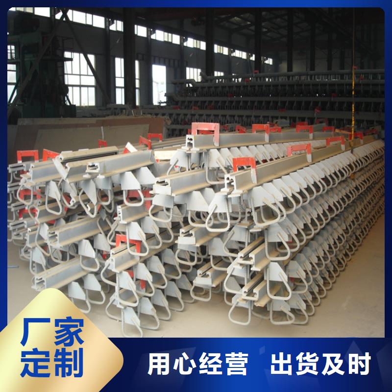 选梳齿板式桥梁伸缩缝装置-实体厂家可定制