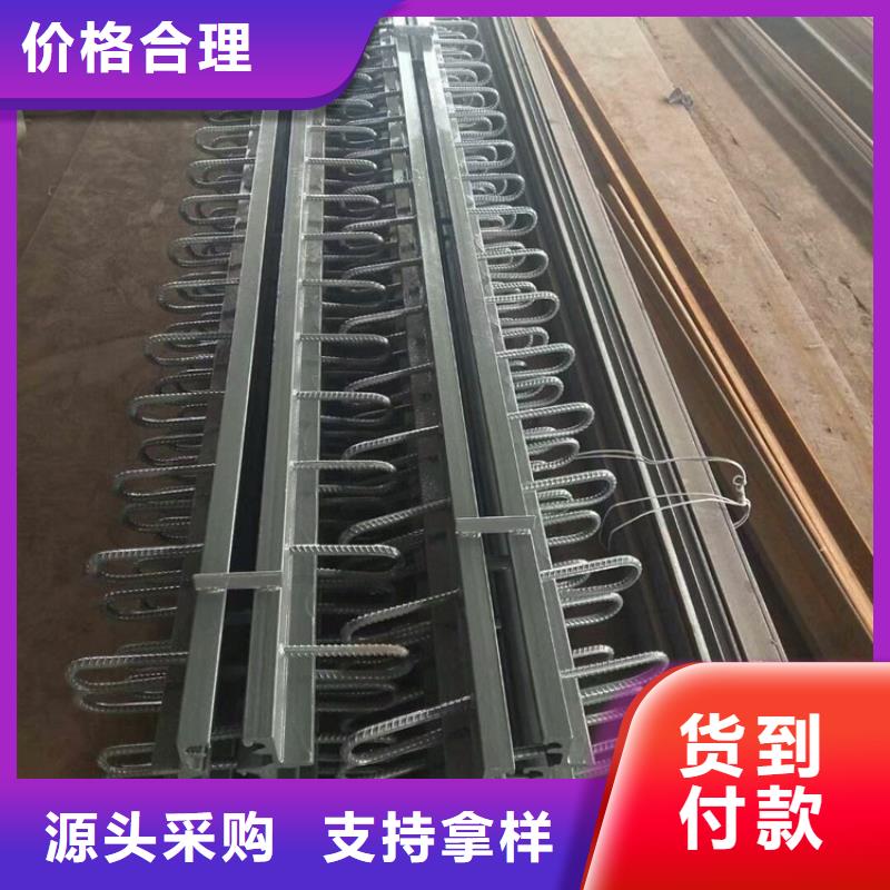 专业销售D120型模数式伸缩缝-保质