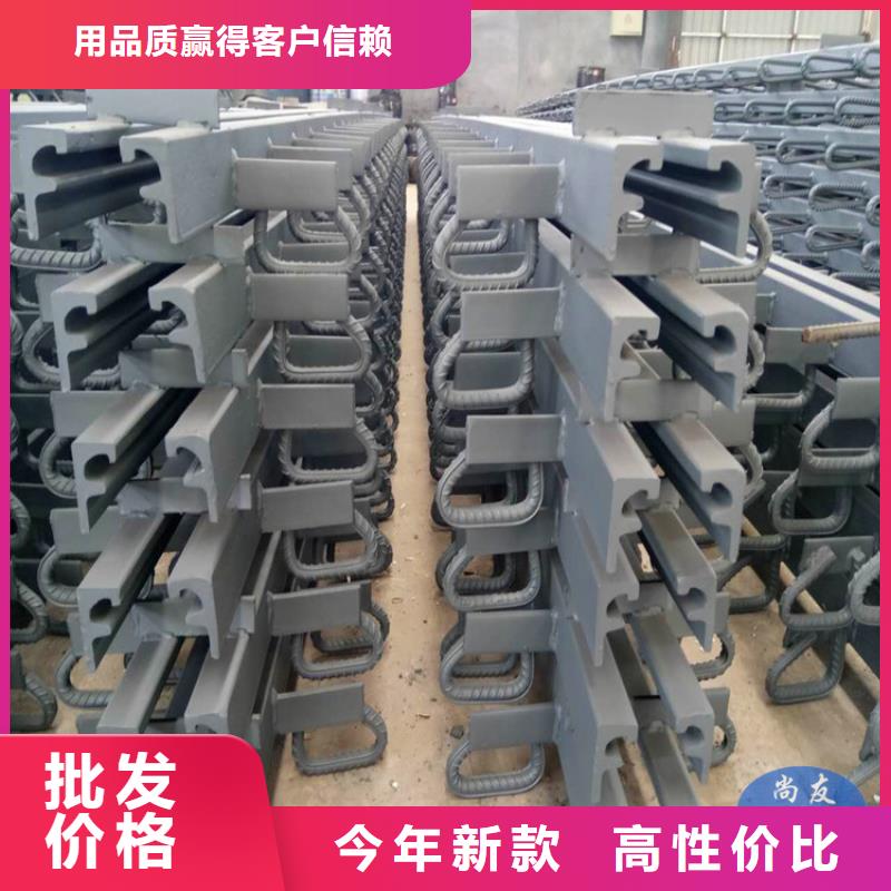 d80桥梁伸缩缝-d80桥梁伸缩缝品质保证