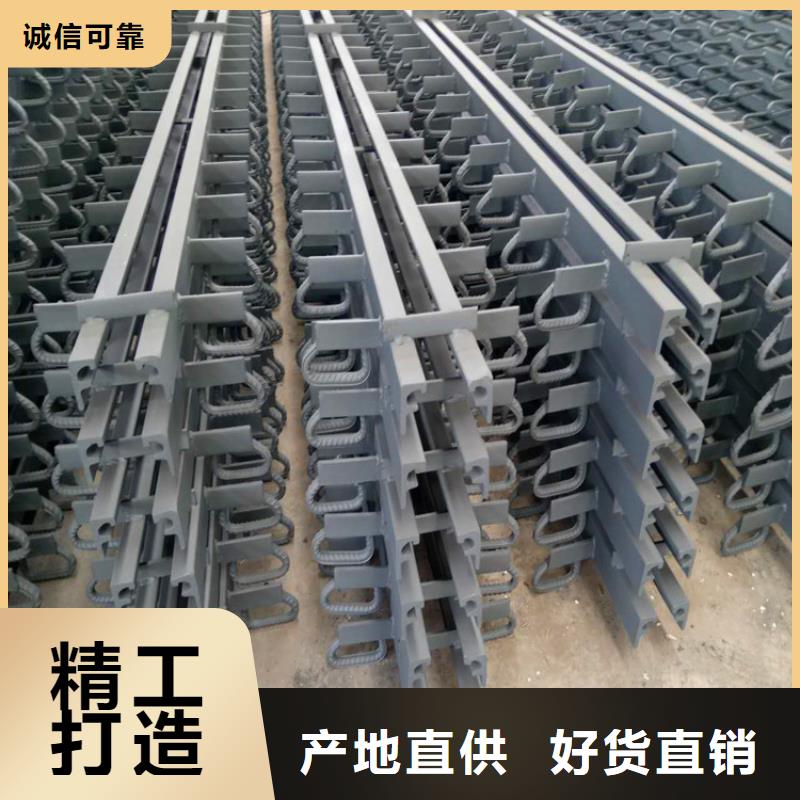：GQF-Z60模数式伸缩缝
