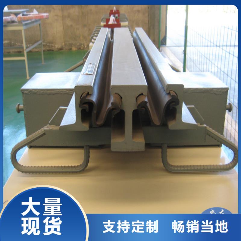 ：GQF-Z60模数式伸缩缝