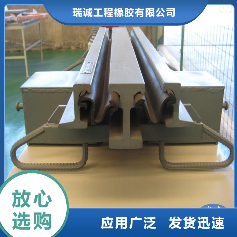 专业销售D120型模数式伸缩缝-保质