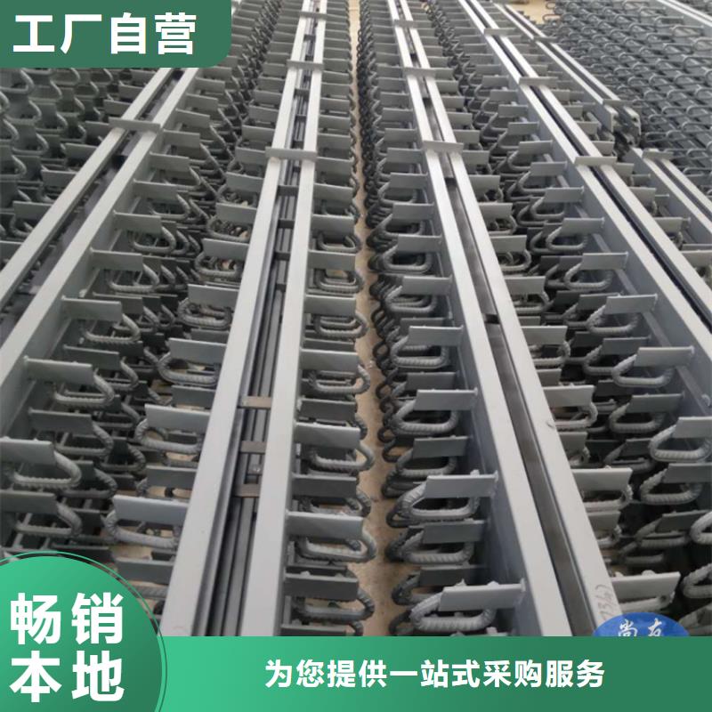 F80型桥梁伸缩缝生产商
