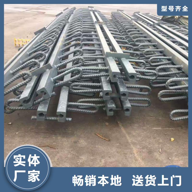 单元多向式桥梁伸缩缝价格