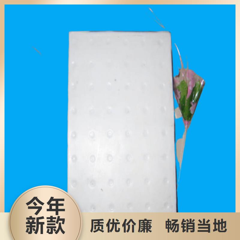 板式橡胶支座D80型伸缩缝您身边的厂家