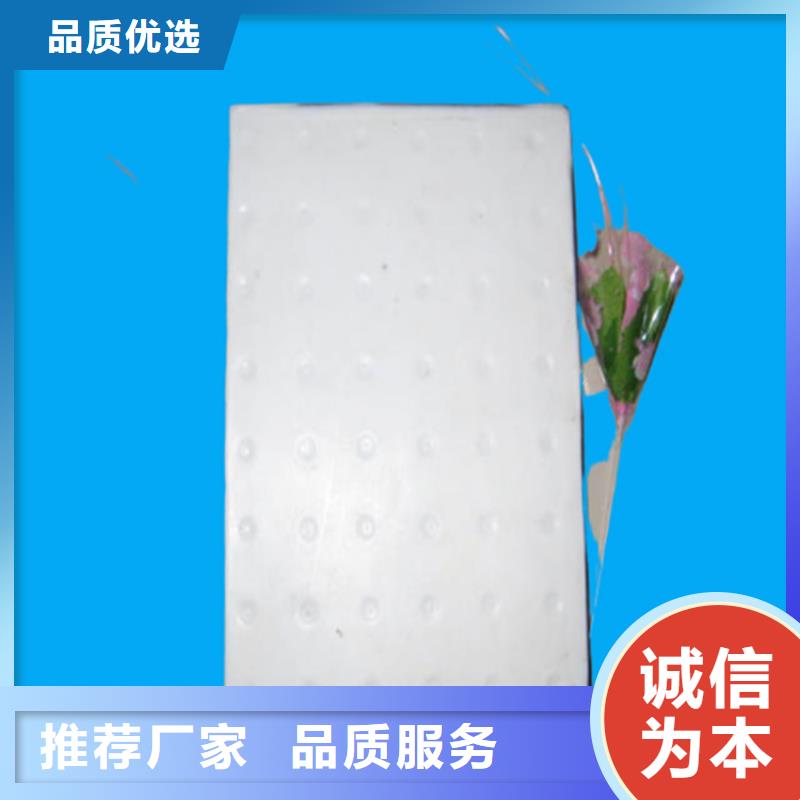 板式橡胶支座球铰支座实体诚信经营