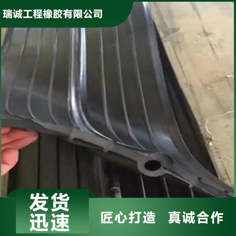 橡胶止水带_球形支座规格齐全