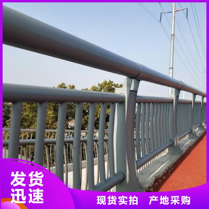 金属梁柱式护栏生产厂家-找神龙金属制造有限公司