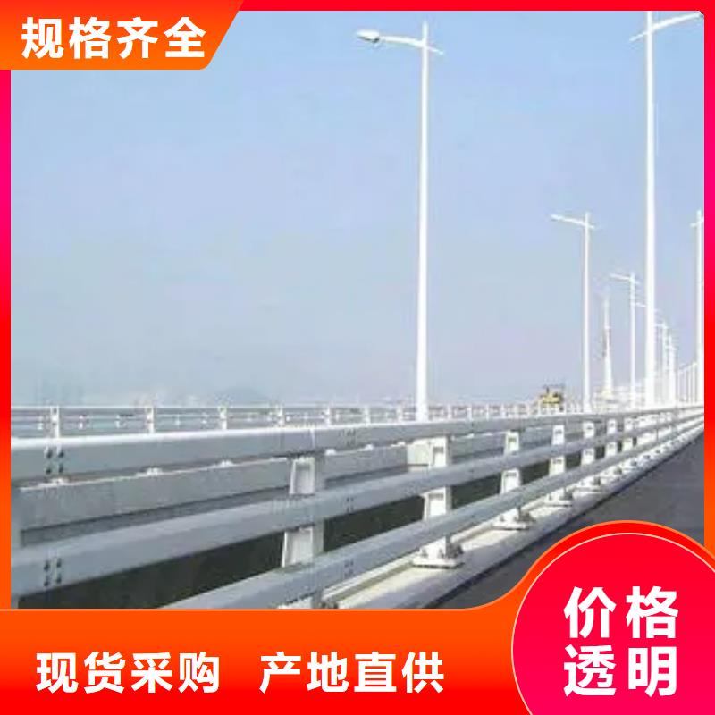 桥梁护栏哪家好种植基地