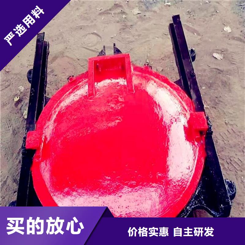 普格镶铜铸铁闸门欢迎电询