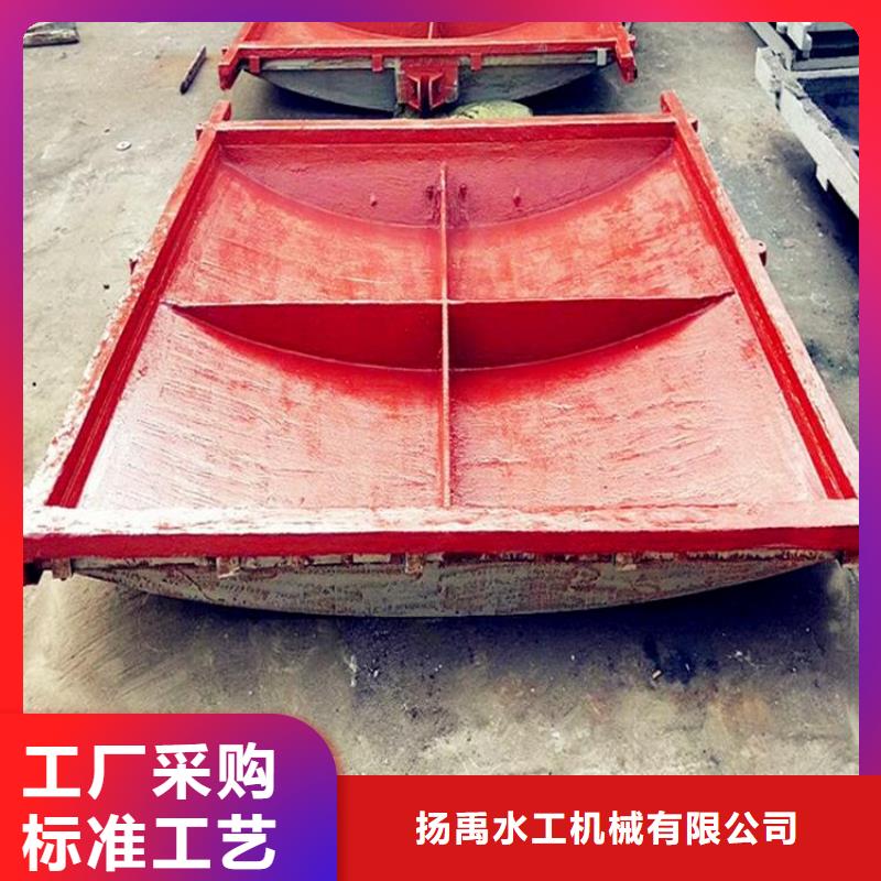 镶铜铸铁闸门供应