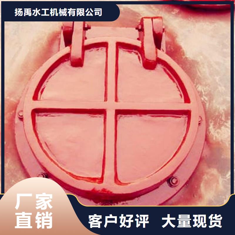 平面铸铁闸门实体厂家
