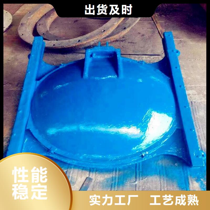不锈钢拍门定制价格