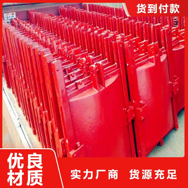 平面铸铁闸门实体厂家