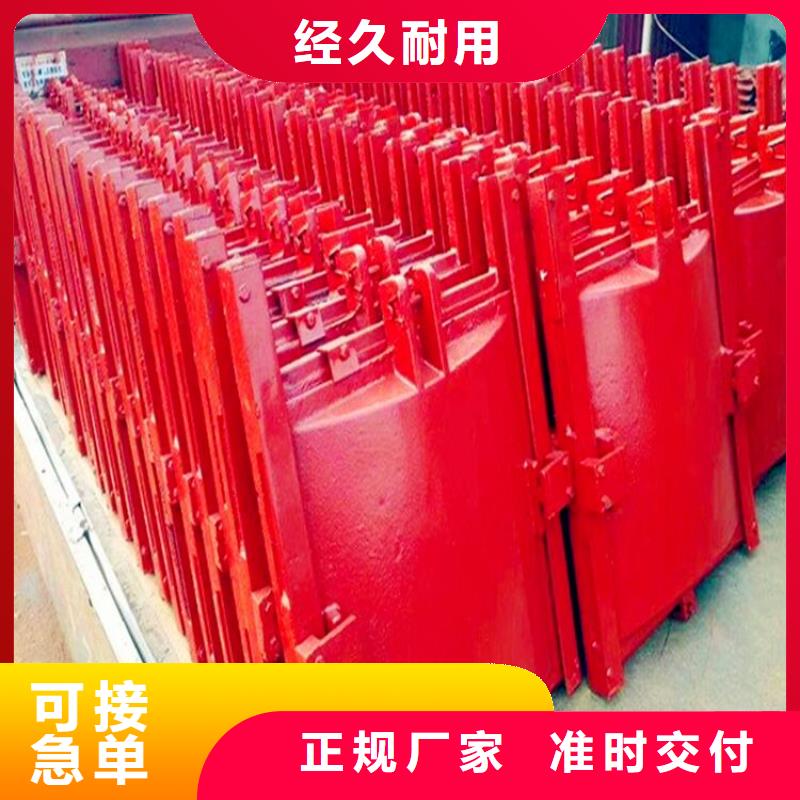 铸铁闸门公司订制