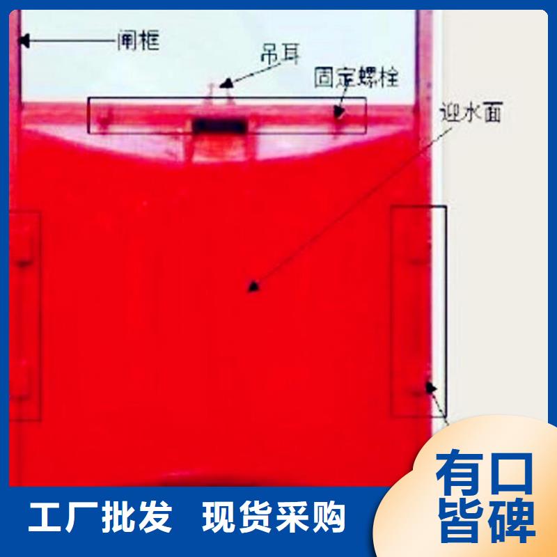 楼铸铁闸门价格厂家价格