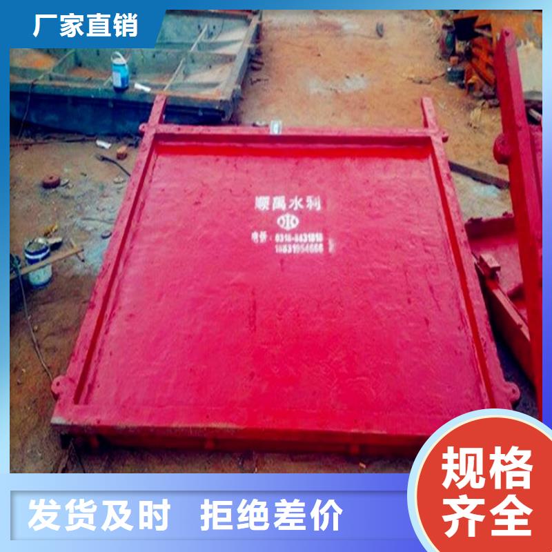 铸铁闸门规格
