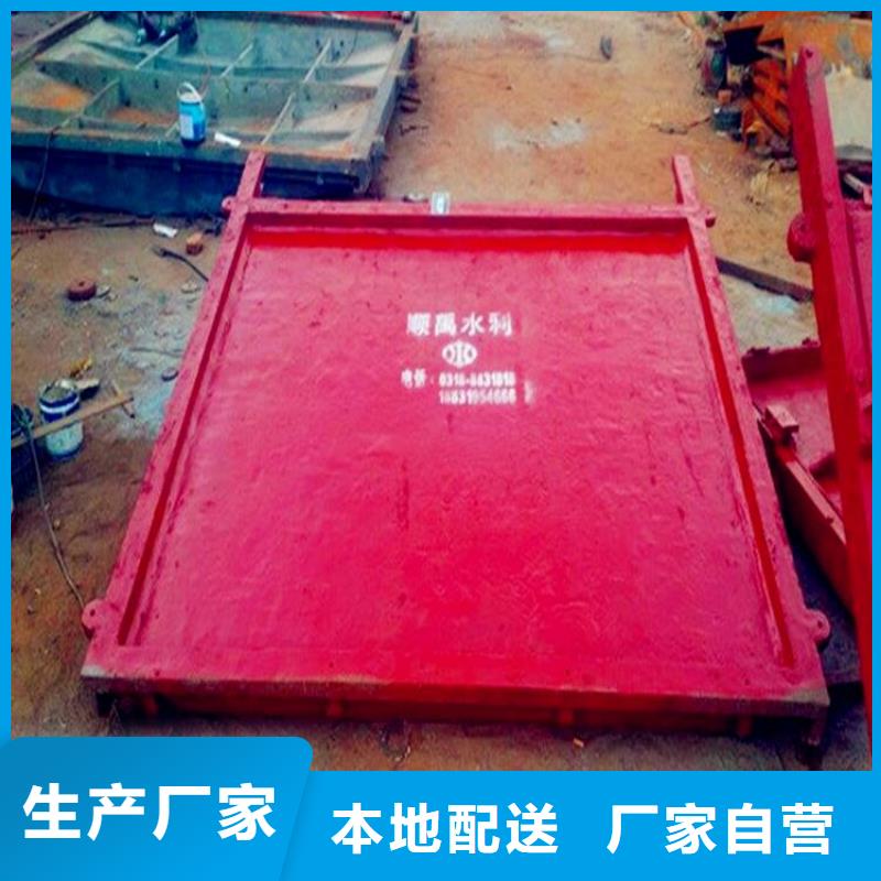 下开式铸铁闸门规格