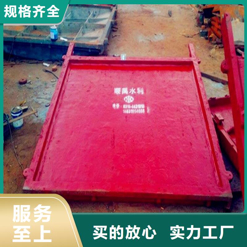 瑞丽平面铸铁闸门生产厂家
