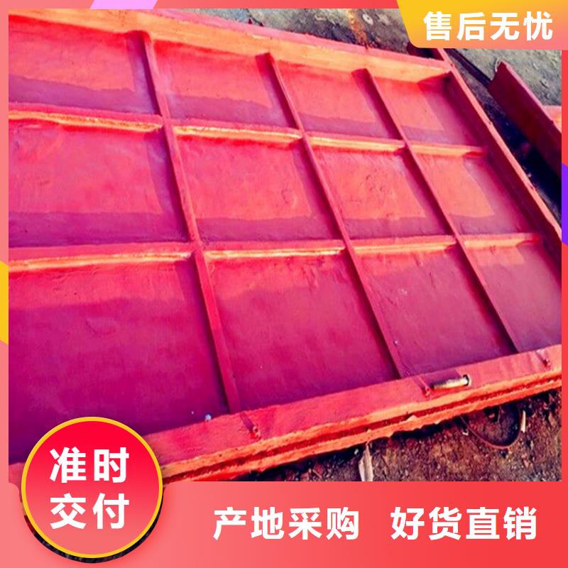普格镶铜铸铁闸门欢迎电询