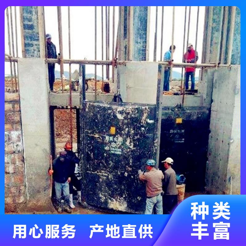 平面铸铁镶铜闸门来样定制