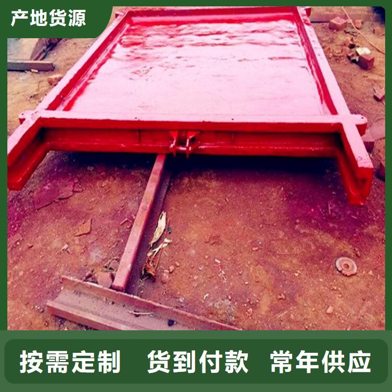 楼镶铜铸铁闸门报价