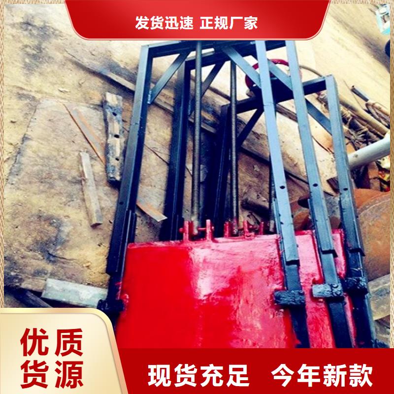 铸铁闸门钢闸门订制