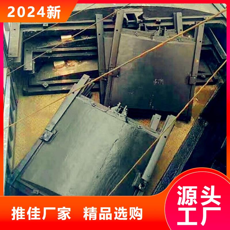 平面铸铁闸门实体厂家