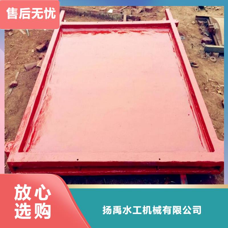 镶铜铸铁闸门供应