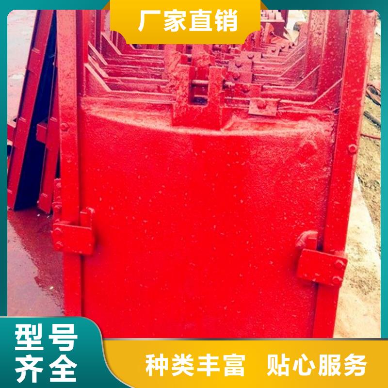 铸铁闸门【不锈钢拍门】口碑好实力强