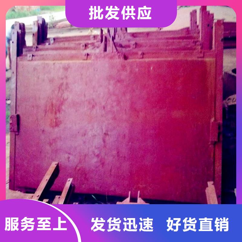 双向铸铁闸门厂家