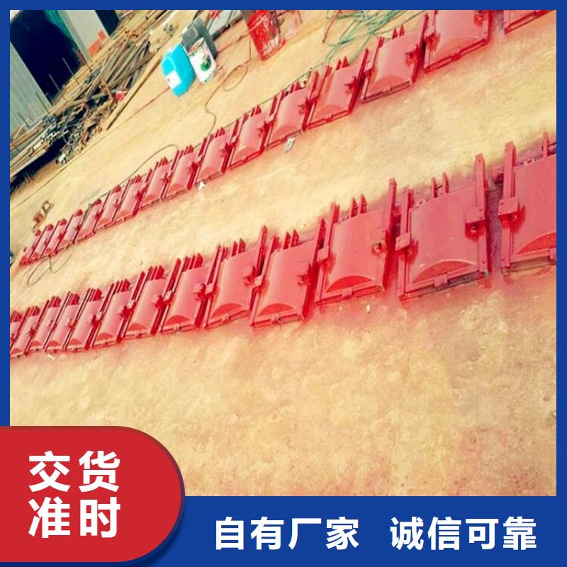 铸铁闸门公司厂家直供
