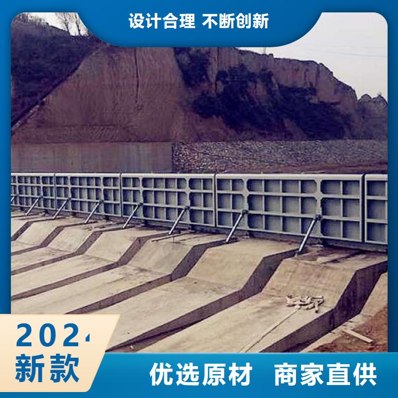 双向铸铁闸门订制