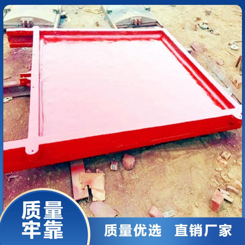 铸铁镶铜闸门按需定制