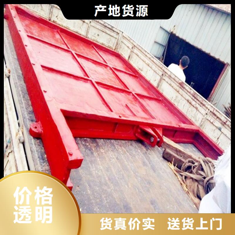 铸铁镶铜闸门按需定制