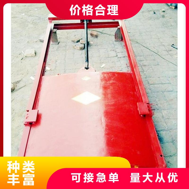 双向铸铁闸门公司
