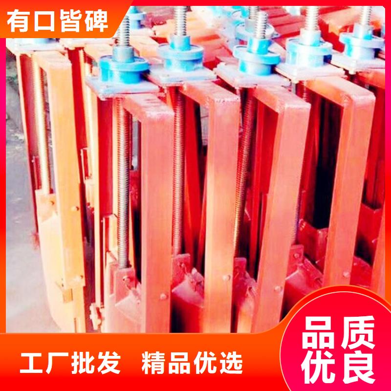 平面铸铁镶铜闸门来样定制