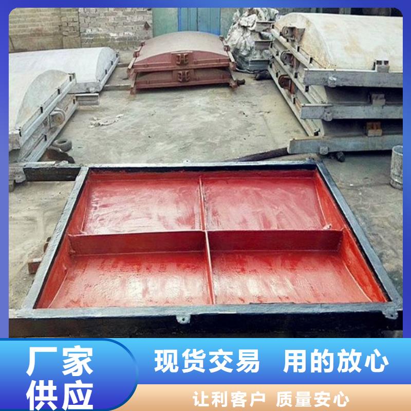 镶铜铸铁闸门按需定制