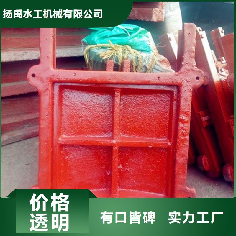平板铸铁闸门供应